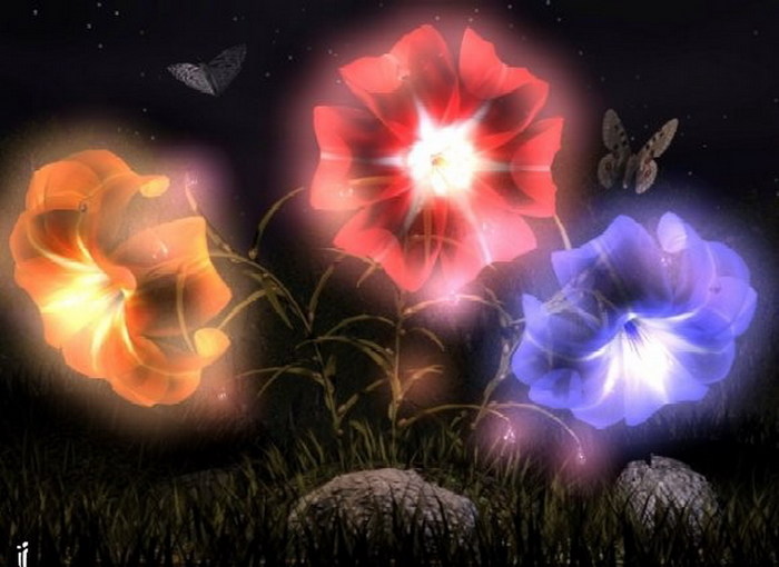Работа ночь цветы. Ночной цветок. Звездный цветок. Цветы ночью. Волшебные ночные цветы.