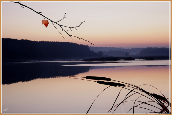 Тёплая водка...