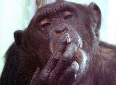 Какое сегодня число?