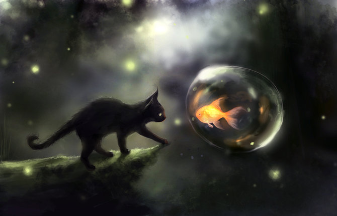 Паденье дикого кота...