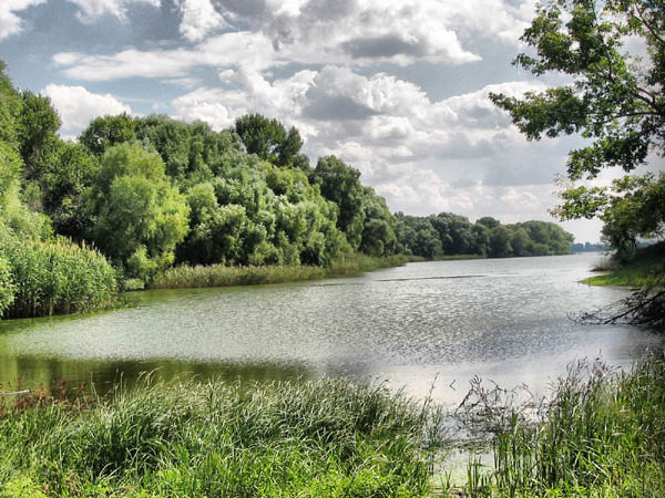 Прекрасное рядом...