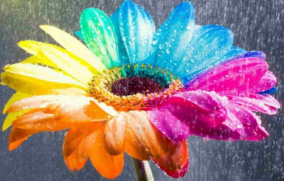 Красота природы (Алиса Свеклова) / Проза.ру