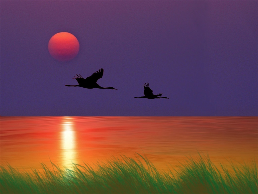 Журавли летят над полем. Журавлиный Клин на закате. Птицы на Восходе солнца. Птицы на фоне заката. Журавлиная стая на Восходе солнца.
