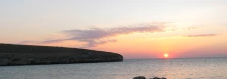 Соловей в саду