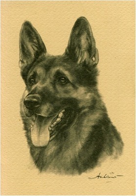 Красивая и добрая...