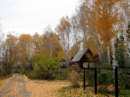 Над садовым костром нитки дымные вьются...