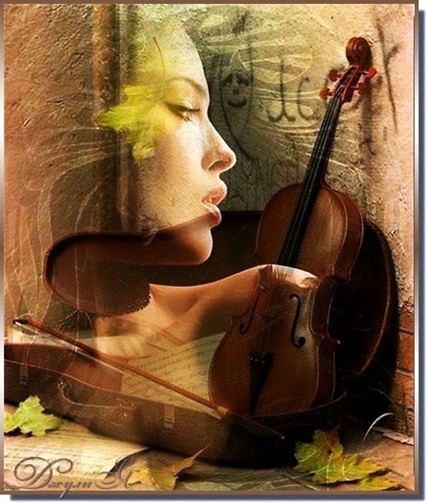 Тихо поет душа. Скрипка. Скрипка любовь. Красивая скрипка. Скрипка душа.