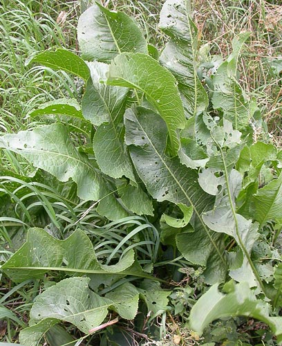 Хреновые стихи...