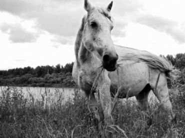 Сколько сделано-переделано