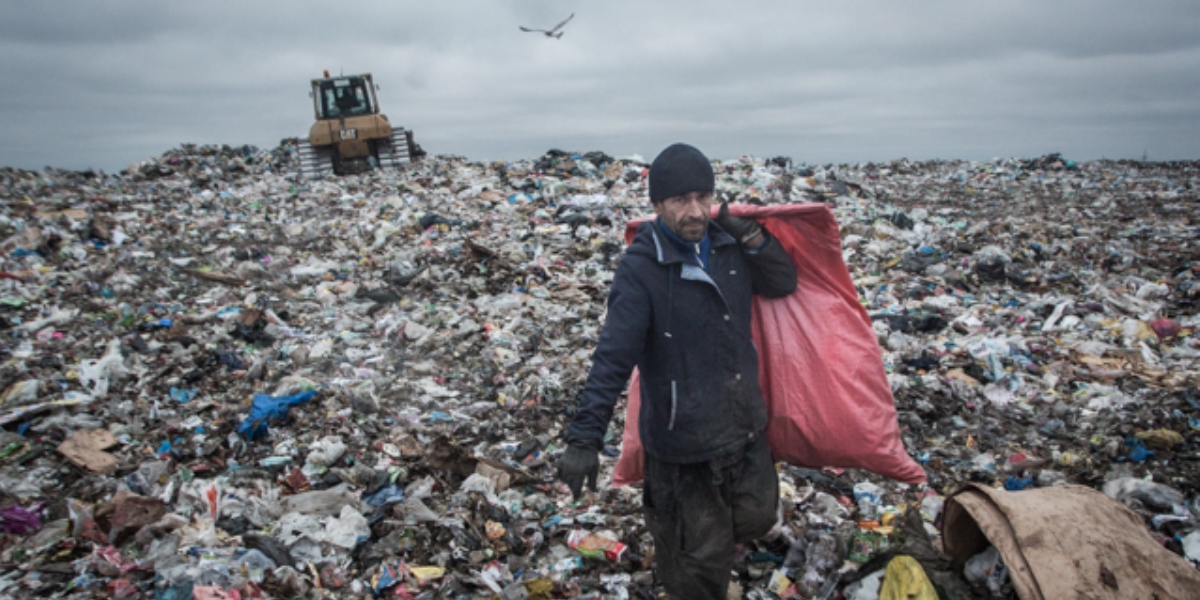 Глава 24 Муха