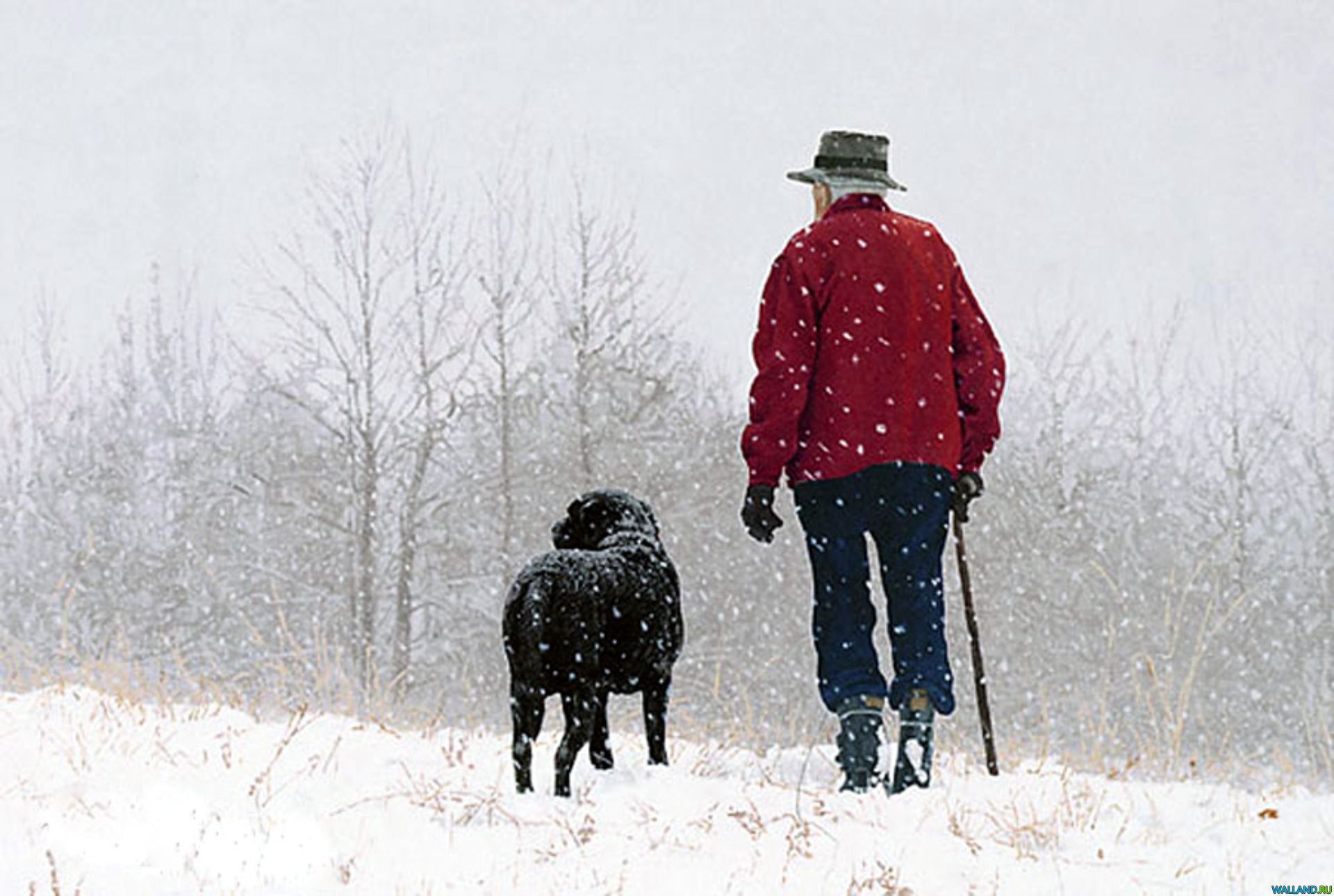 Слава жил возле леса и часто гулял. John Weiss художник. Человек с собакой. Человек собака зима. Собака гуляет зимой.