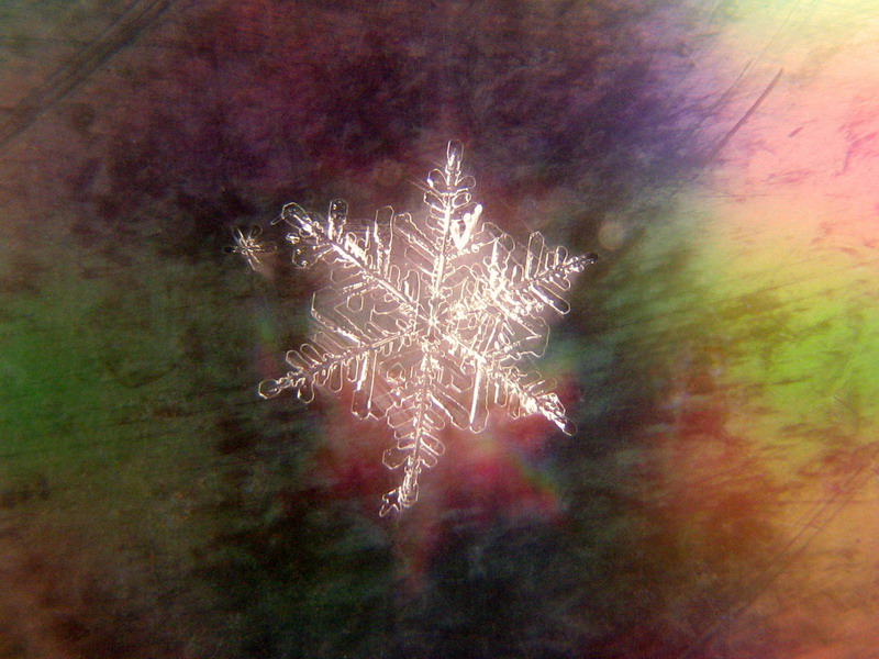 Падение? Взлет?