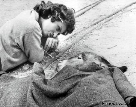 Я исполнил супружеский долг...