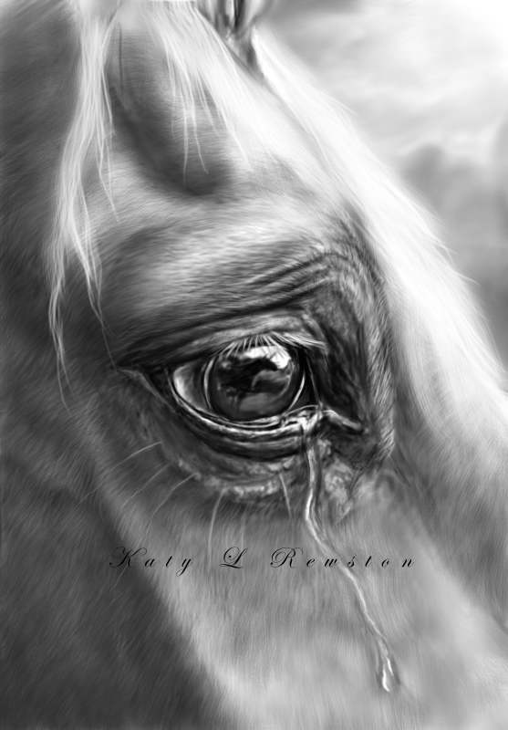 Где лошади плачут