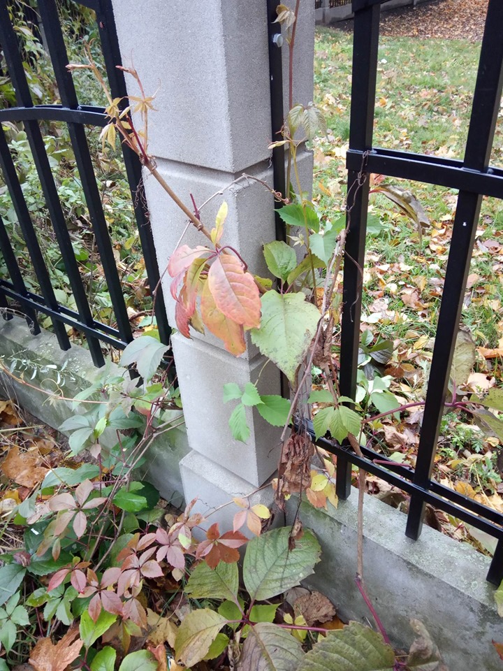 Еще раз или О Даниэле. Часть 1