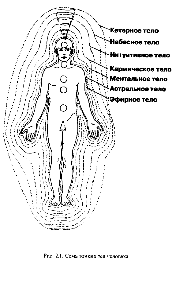 Земля как тело человека. Ментальное астральное и эфирное тело человека. 7 Тонких тел человека. Схема тонких тел человека и их функции. 7 Энергетических тел человека.