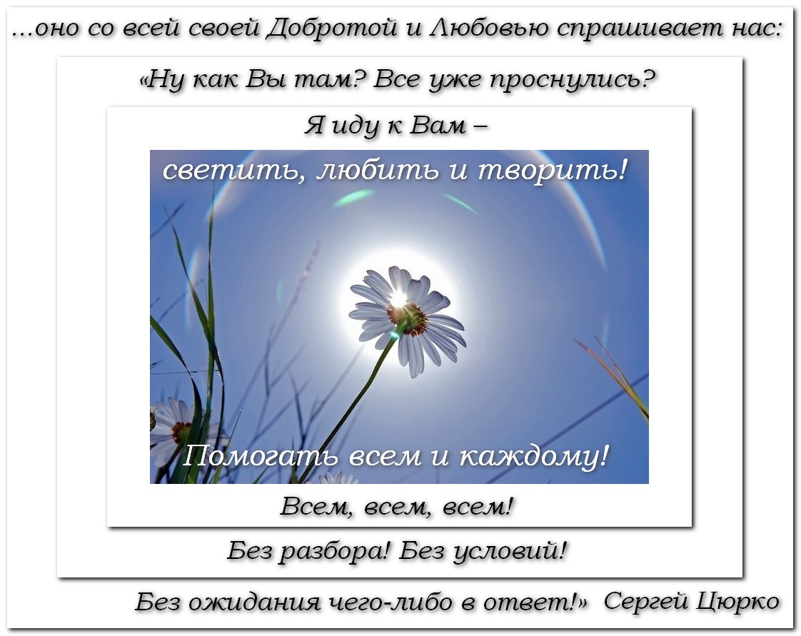 всего шесть букв