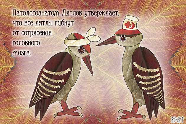 Смешной Дятел