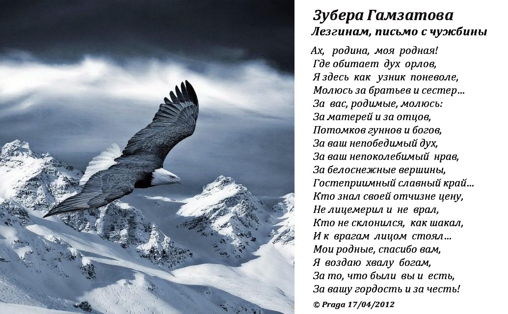 Стихотворение про орлов. Стих про орла. Стихотворение Гамазова. Стихи Расула Гамзатотова. Стихи Расула Гамзатова про горы.