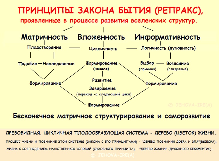 Принципы развития жизни. Законы бытия. Законы развития бытия. Принцип развития бытия. Принципы и законы развития бытия.