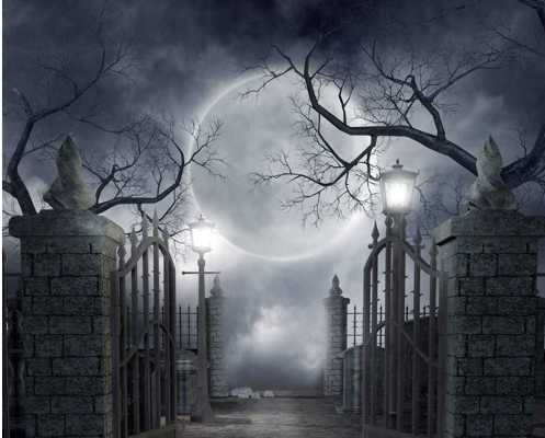 Он умеет. Глава вторая. Темная сторона