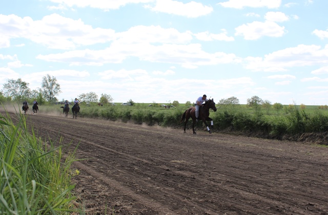 Конь вороной мой (Ирина Пинегина) / Проза.ру