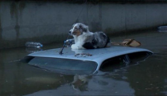 Ужасы Белгорода. Мор, потоп, землетресение