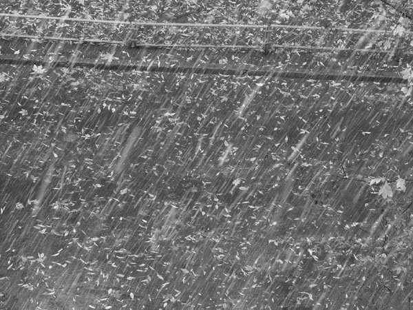 Первая снежинка (Алексей Маклаков) / Проза.ру