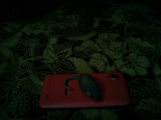 Мышка (Сима Солнышечко) / Проза.ру