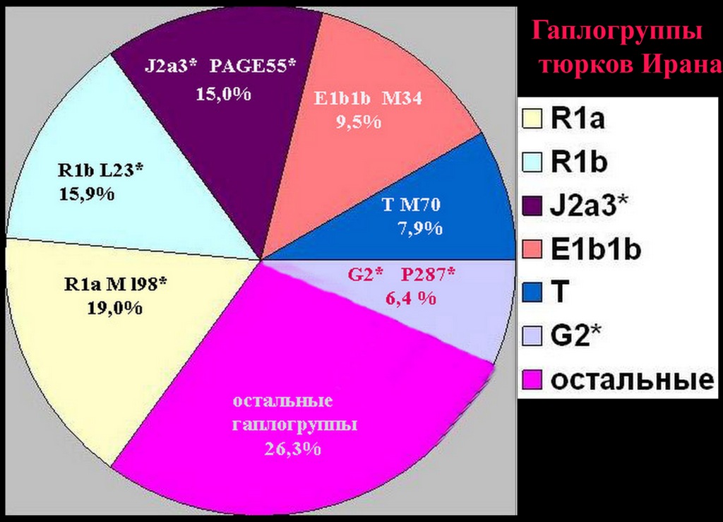 Генетика якутов. Монгольская гаплогруппа. Гаплогруппа монголов. Монгольская гаплогруппа. Гаплогруппа монголов.
