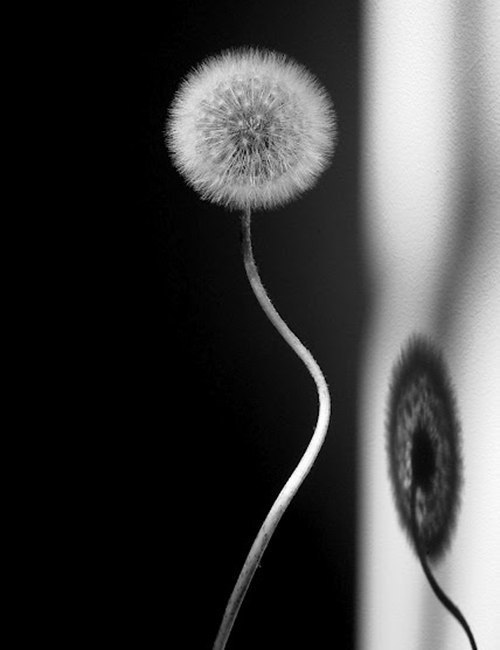 я проникаю в тебя