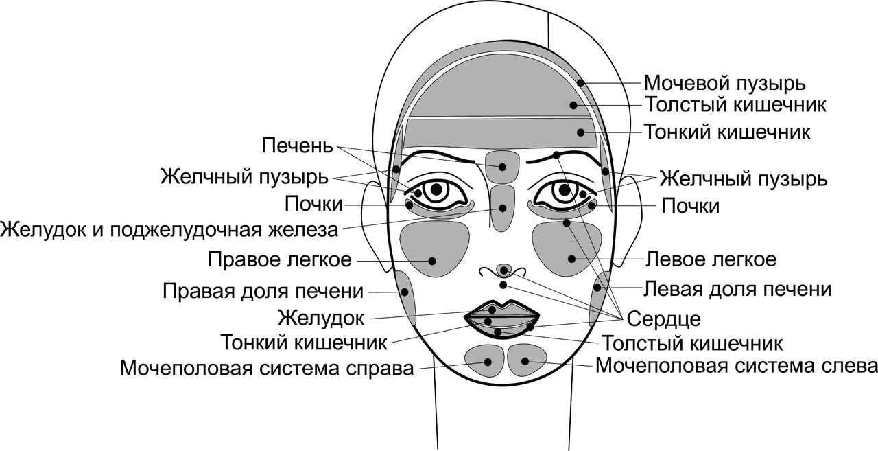 На лбу и с каждым. Зоны лица и внутренние органы. Зоны органов на лице. Проекционные зоны на лице. Проекция внутренних органов на лице.