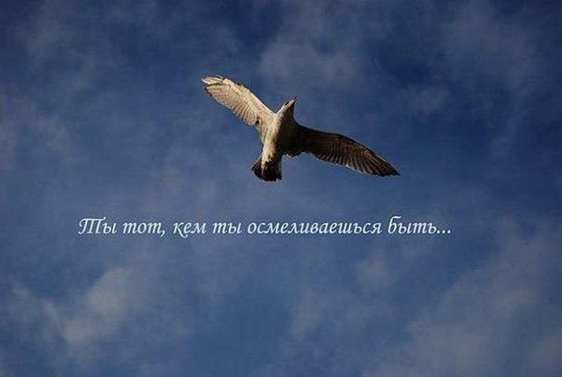 полезные болезни