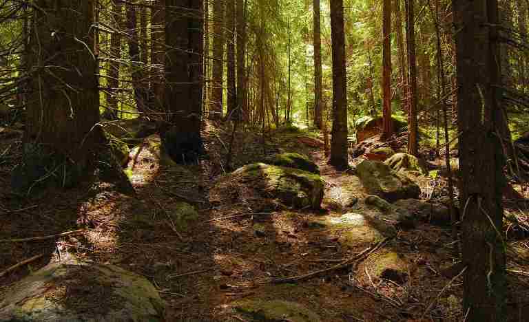 Заложники таежного Эдема, часть 1