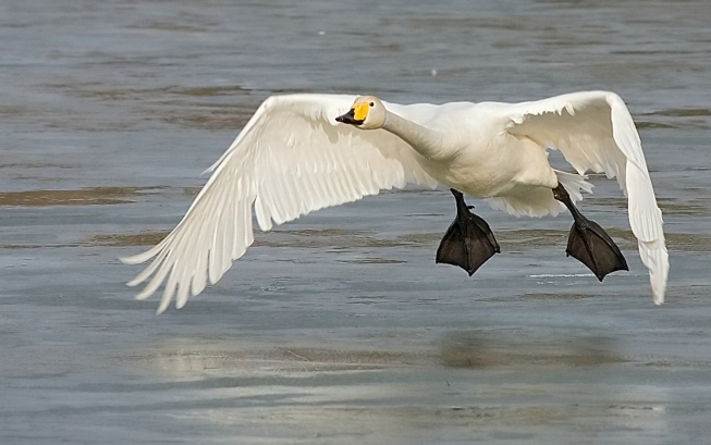 Достучаться не могу