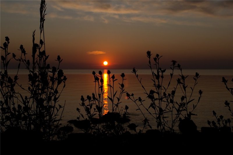 Без пятнадцати осень... (Влад Архитектор) / Проза.ру