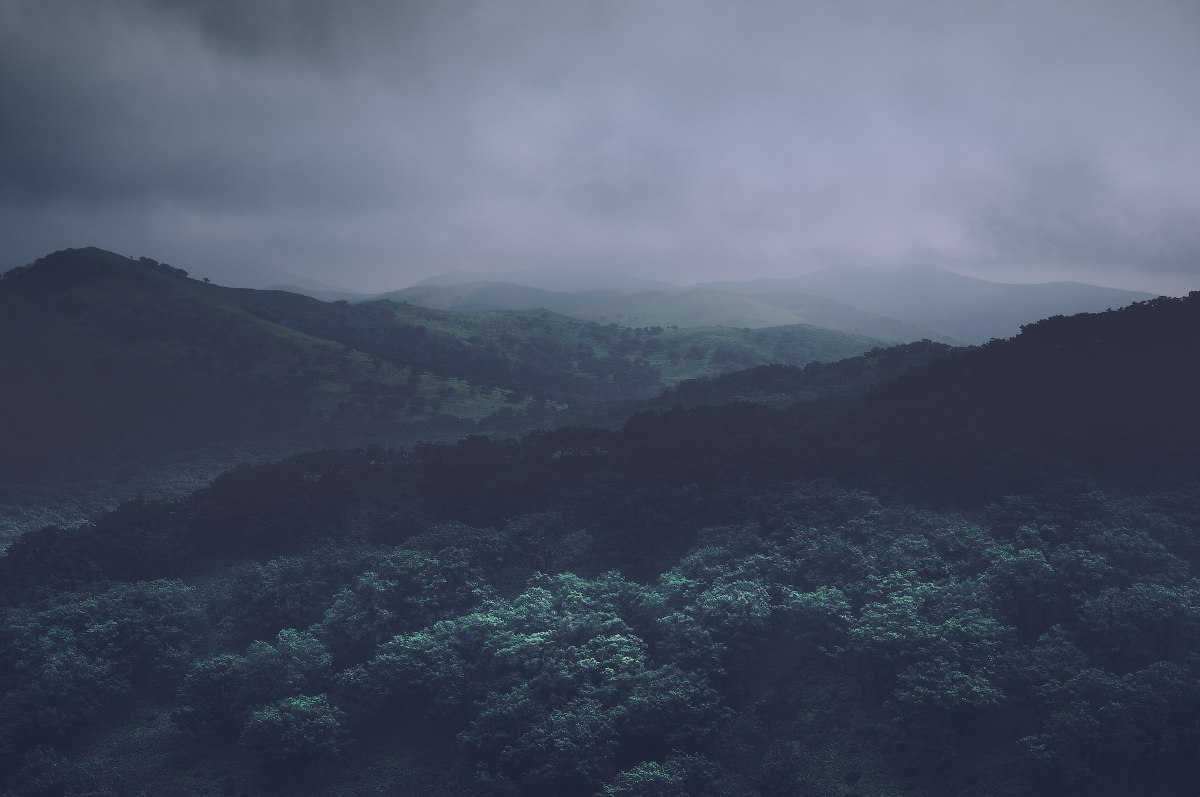 E fog. Blackbird обложка foggy night. Туман игра. Туманные горы средиземье. Туманный лес таганай.