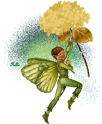 Свет далекой Звезды