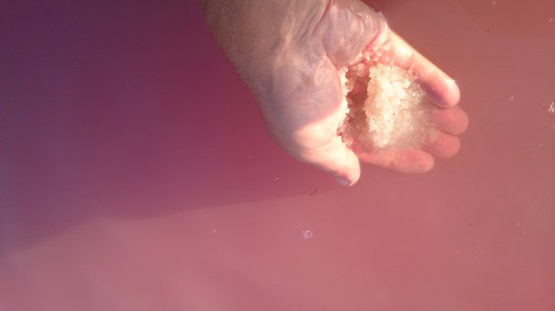 Русское Слово о полку Игореве