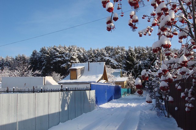 От января ведем отчет...