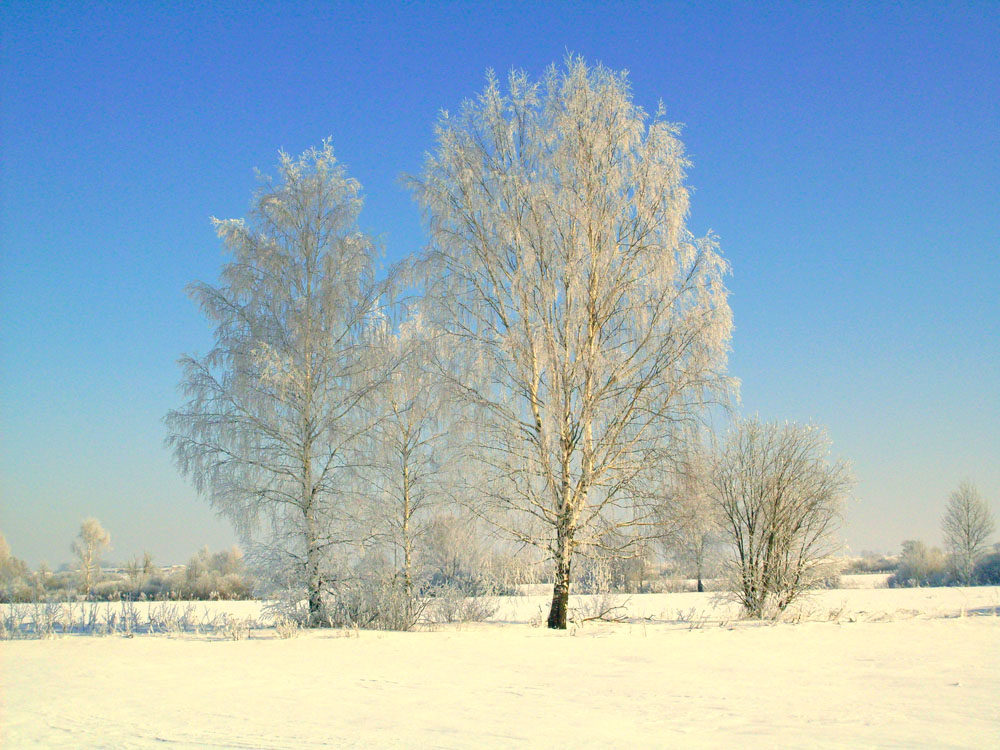 Winter summer. Зимнее лето. Зима лето - 76 - фото. Летняя зима форум.