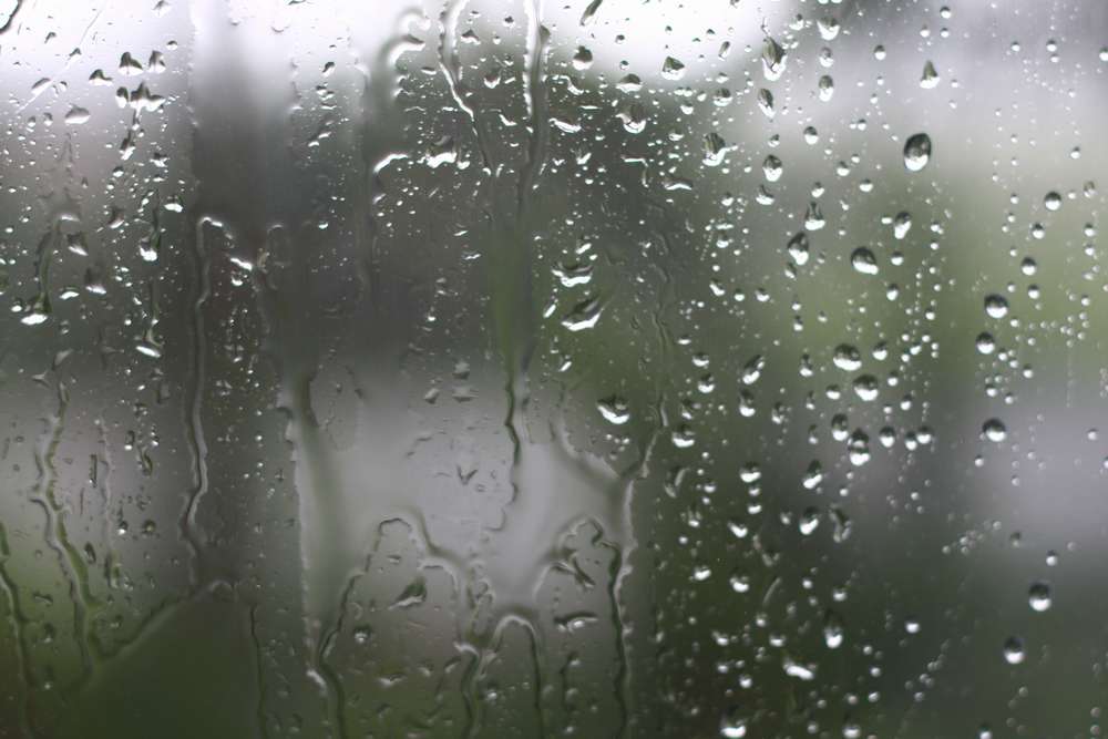 В окна стучали крупные дождевые капли. Дождь за окном. Дождь в окне. Капли на окне. Весенний дождь.