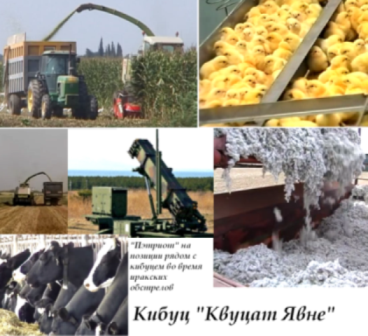 Такой вот колхоз. Часть 1