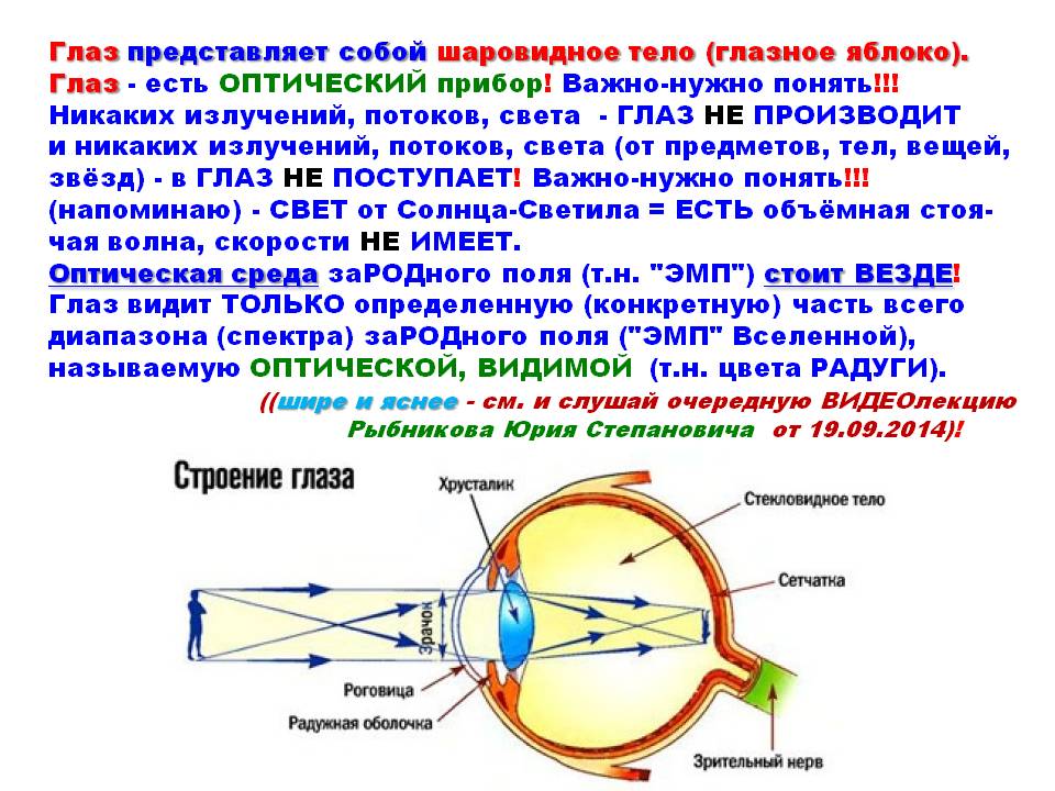 Фокусировка лучей света на внутренней поверхности глазного. Строение глаза человека, глаз как оптическая система. Принцип работы зрения человека. Оптическое устройство глаза. Оптическая схема глаза человека.