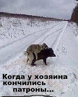 Кот прыгнул в печку Кот прыгнул в печку