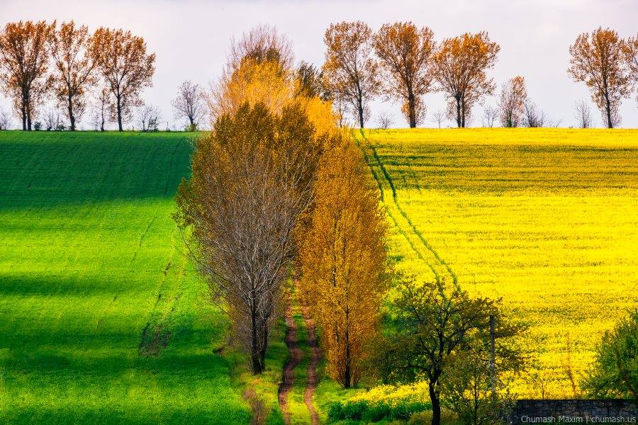 Желтые холмы. Молдавия природа. Пейзажи Молдавии. Осень в Молдове.