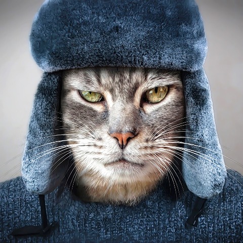 Психосодомия