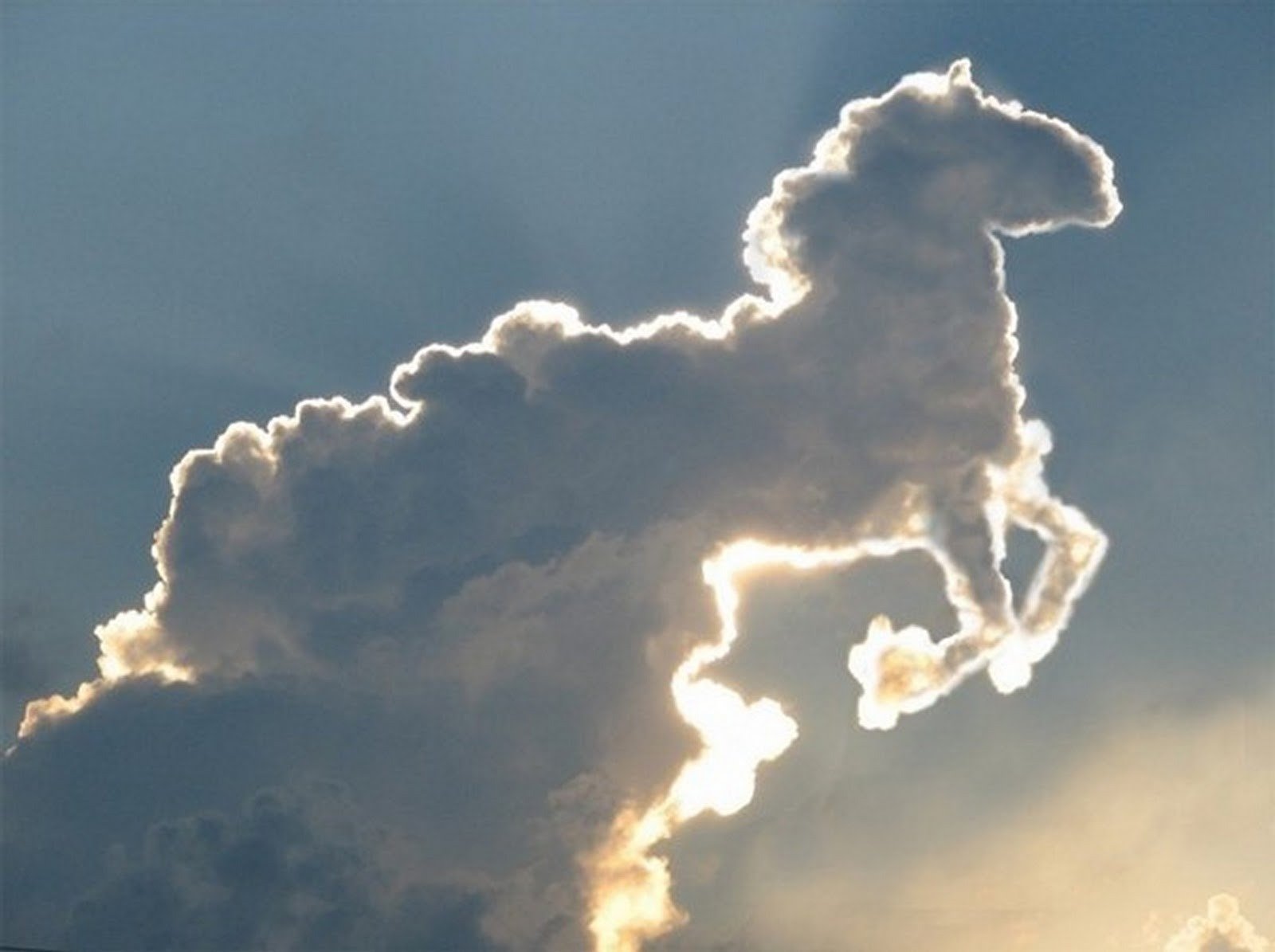 Карусель жизни