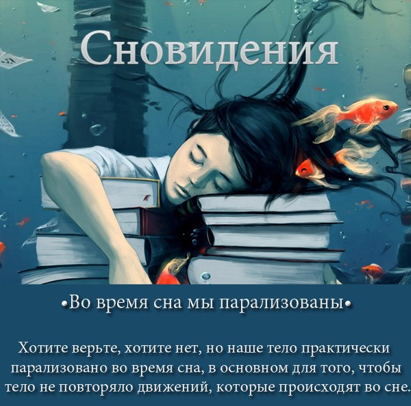 Интересные факты о сне: