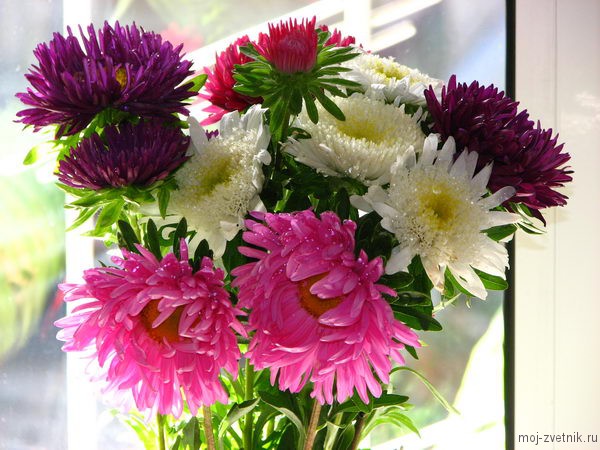 fleurs - Page 19 Floral wreath, Glass vase, Vase